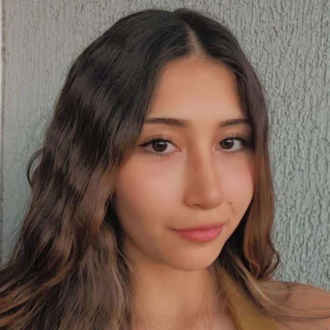 Niñera en Santiago de Chile: Camila