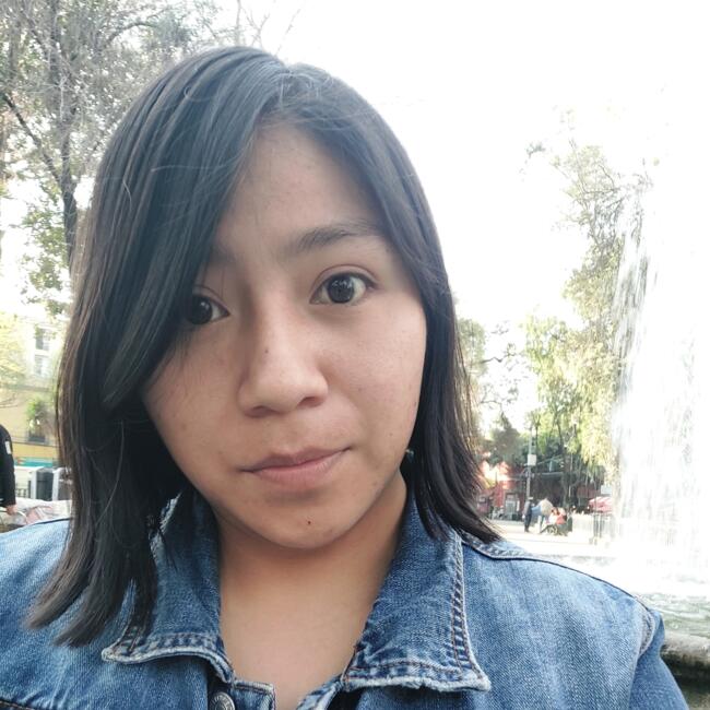 Babysitter in Tultitlán de Mariano Escobedo: Lorena