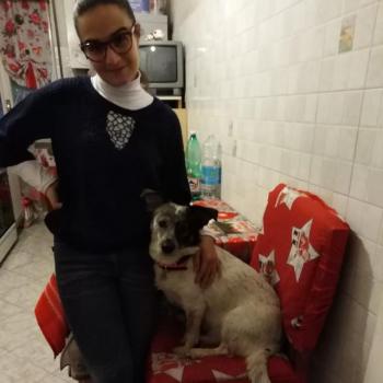 Babysitter Napoli: Aldesia