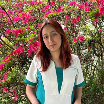 Babysitter στην περιοχή Βαλδίβια: Constanza