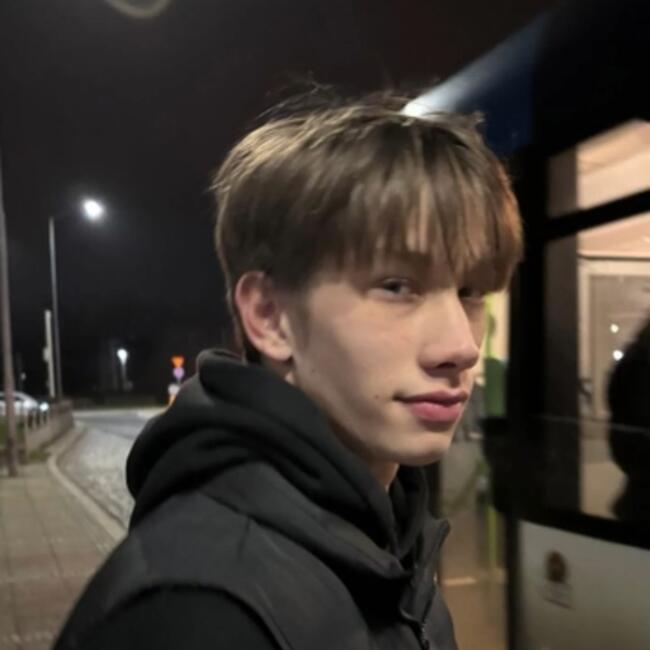 Babysitter in Szczecin: Dawid