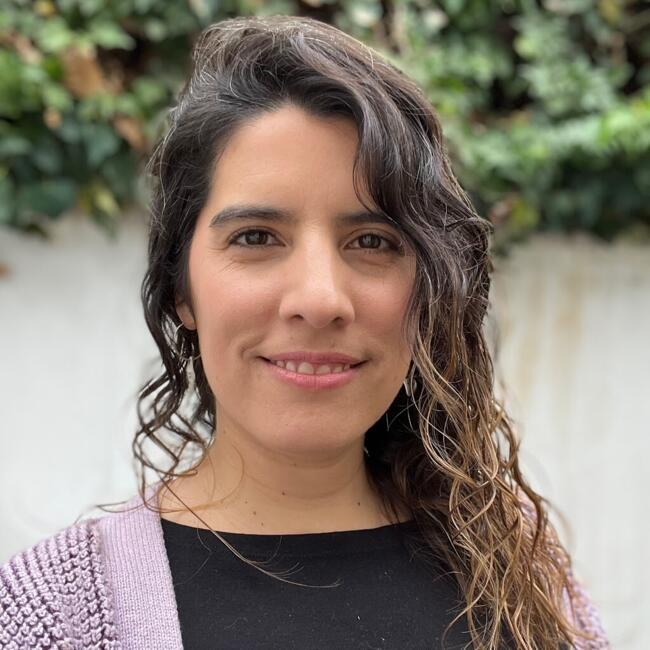 Babysitting job in Santiago: Daniela