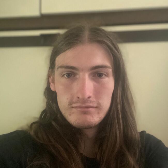 Babysitter in Savigny-sur-Orge: Raphael