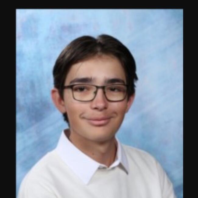 Babysitter in Lille: Hugo