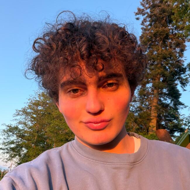 Babysitter in Vancouver: Maksim