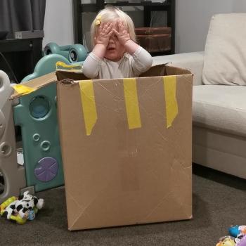 Babysitting job in Auckland Airport: babysitting job Danae