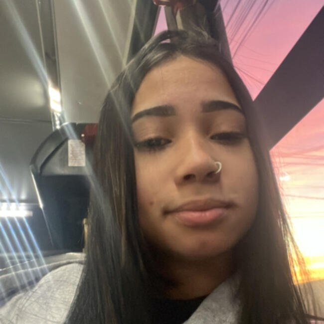 Babysitter in Uberlândia: Sara