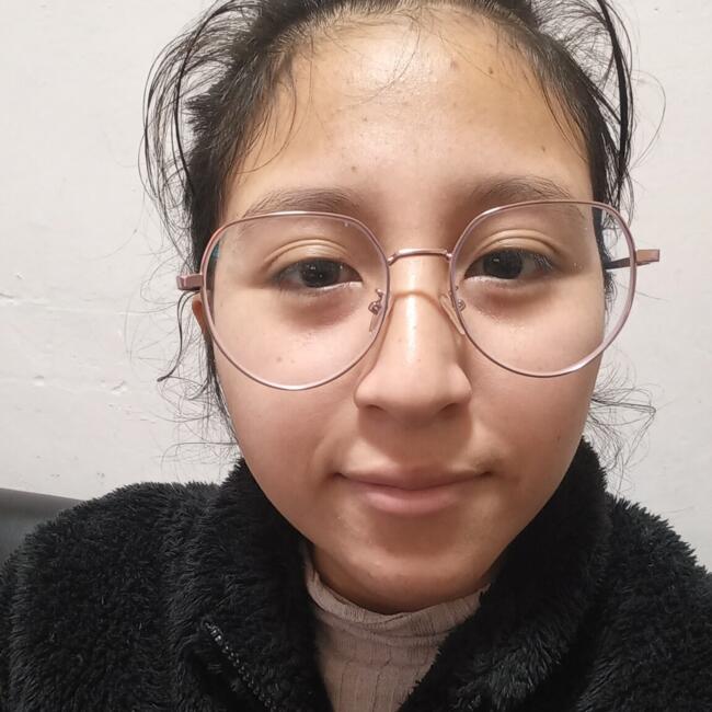 Babysitter in Santiago: Medaly