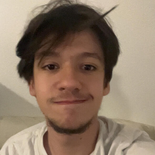 Babysitter in Vannes: Noa