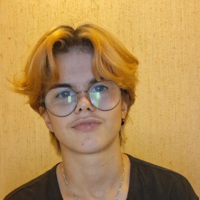 Babysitter in Naves: Romane
