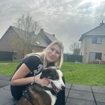 Babysitter Geraardsbergen: Luna