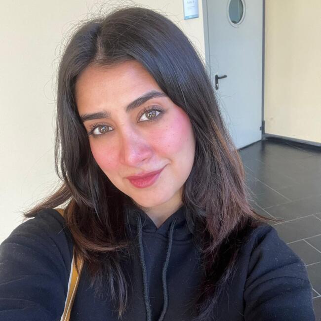 Babysitter a Parma: Zerav