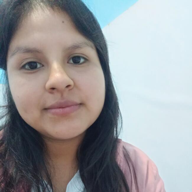 Babysitter in Chimbote: Ingrid