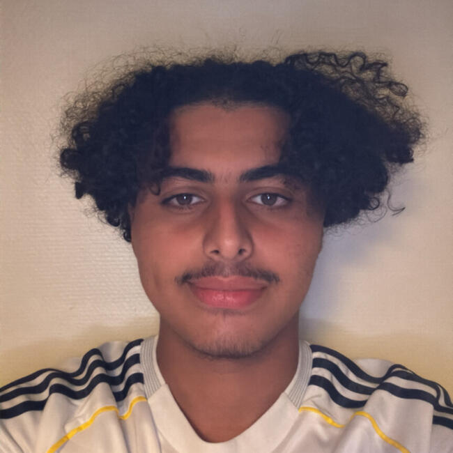 Babysitter em Estrasburgo: Ilyes