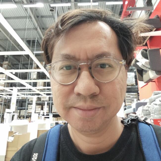 Babysitting job in Singapore: Lizard