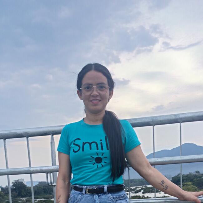 Babysitter in Indaial: Deise barbosa moraes