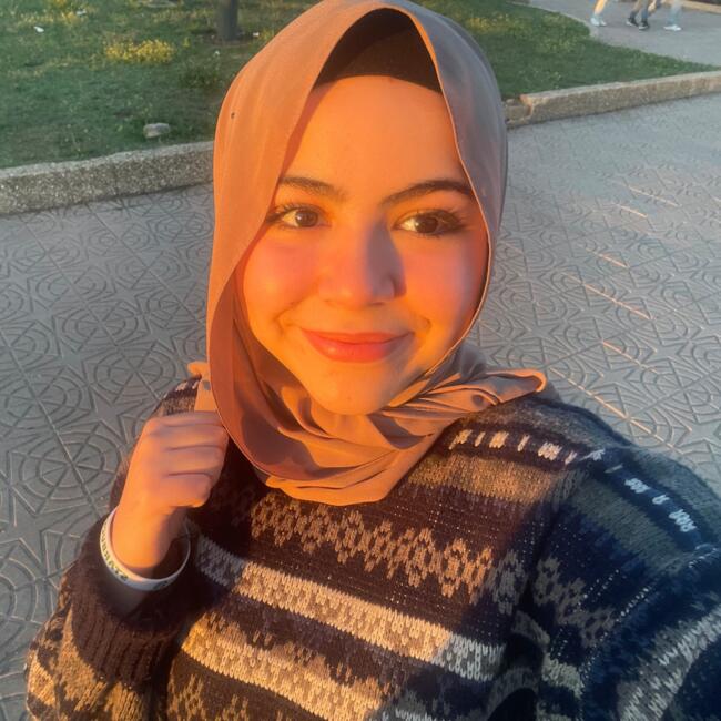 Babysitter in Dunkerque: Abrar