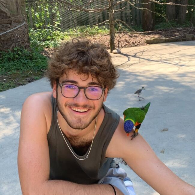 Babysitter in Raposo: Johan