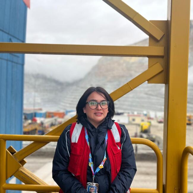 Babysitting job in Coquimbo: Daniela