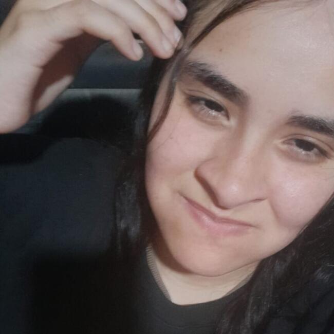 Babysitter in Malvinas Argentinas: Milena