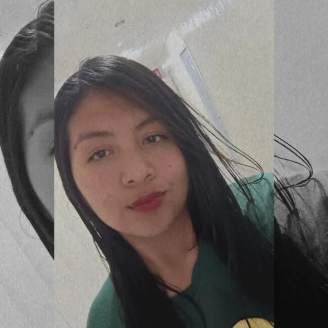 Babysitter in Antofagasta: Luz