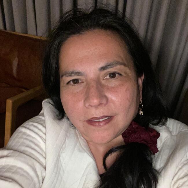 Babysitter in Santiago: Priscilla
