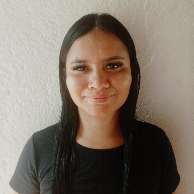 Babysitter in Bucaramanga: Lizeth Daniela mendivelso rive