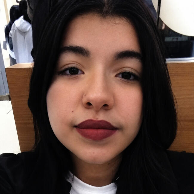 Babysitter in Caucaia: Fernanda
