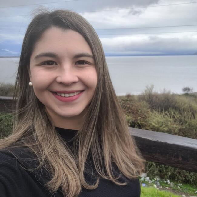 Babysitting job in Santiago: Camila