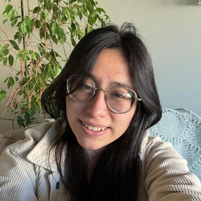 Babysitter in Temuco: Javiera
