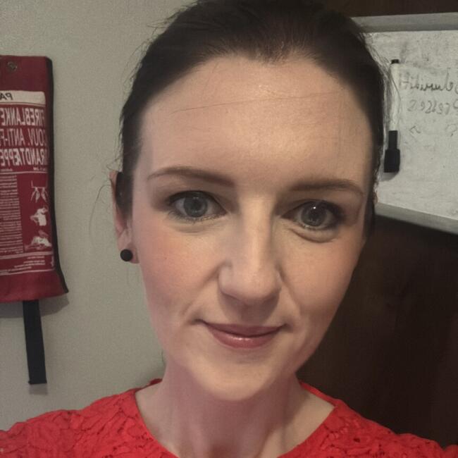 Babysitting job in Swords: Melissa