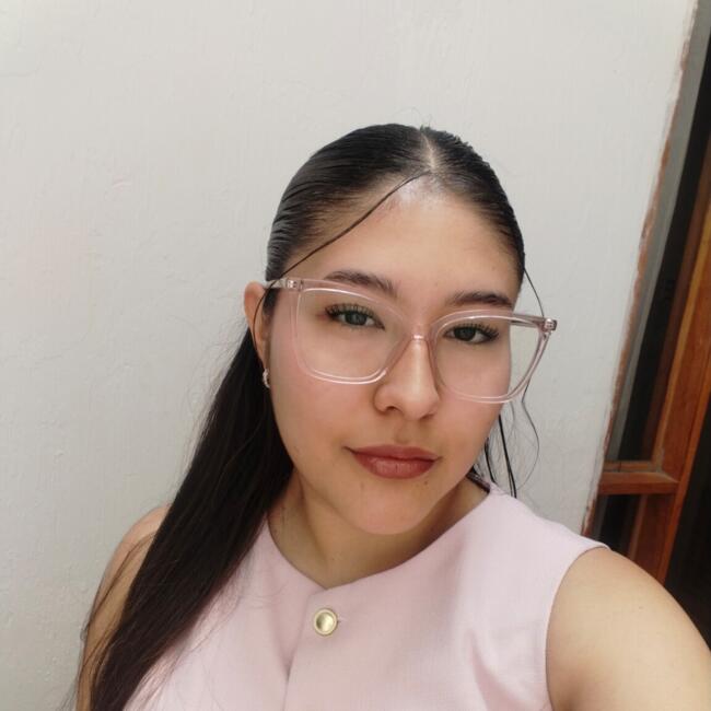 Niñera en Santiago de Chile: Vale