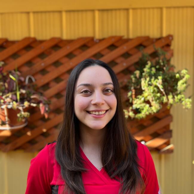 Babysitter in Castro: Alejandra