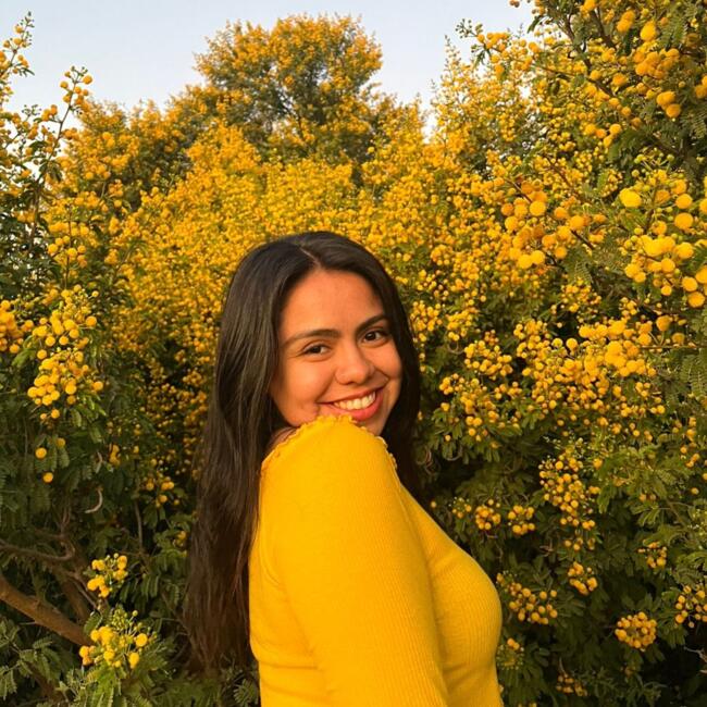 Niñera en Santiago de Chile: Kattalina