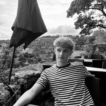 Babysitter in Venoy: Romain