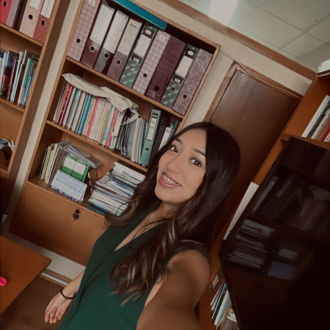 Babysitter in Antofagasta: Rayhén