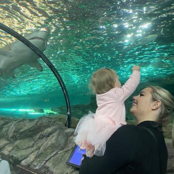 Babysitting job in Sydney: babysitting job Dakota