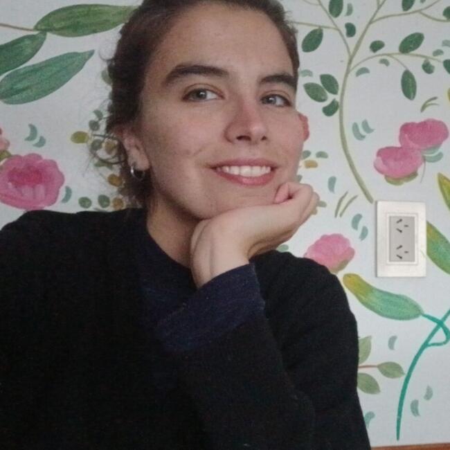 Babysitter in Mar del Plata: Martina