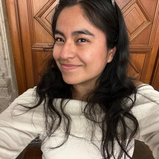 Niñera en Ciudad de México: Karen