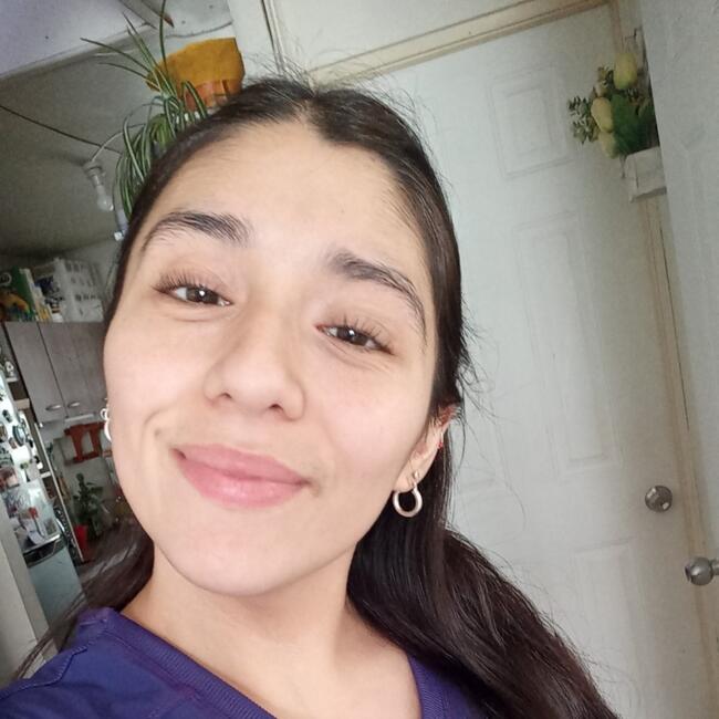 Babysitter in Angol: Camila Illanes