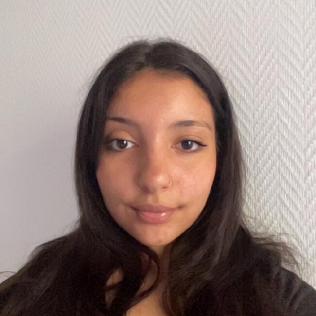 Babysitter in Paris: Nerimen