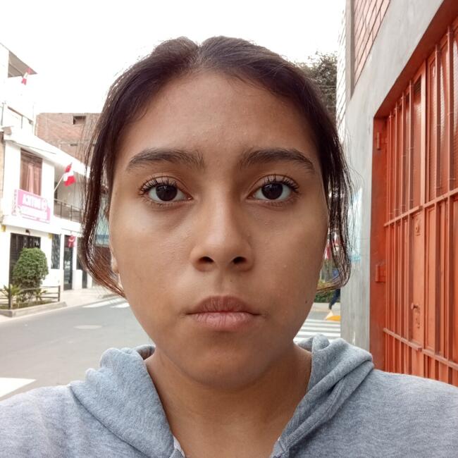 Babysitter in El Agustino: AUREA CARMEN