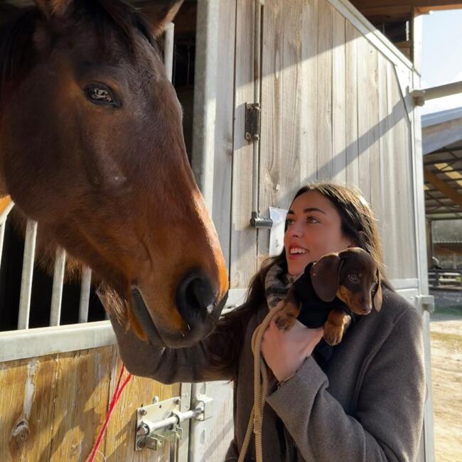 Babysitter in Nantes: Toscane