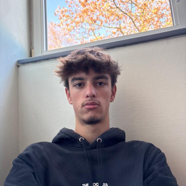 Babysitter in Saint-André-lez-Lille: Matei