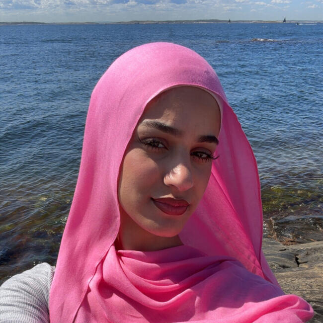 Babysitter in Jönköping: Naya