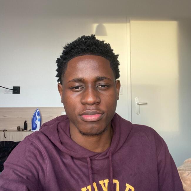 Babysitter in Toulouse: BRAD bruel