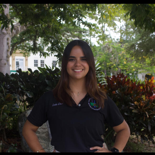 Babysitter in Cayey: Carla