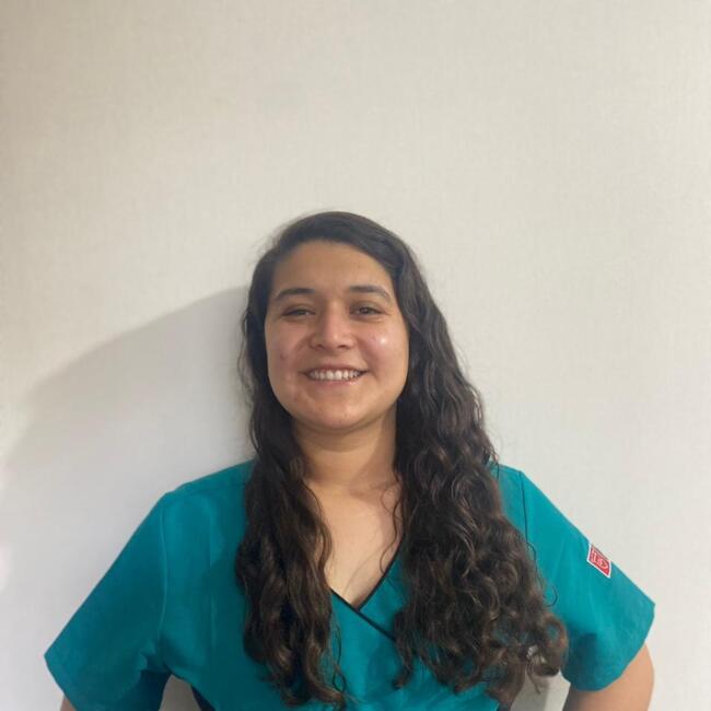 Babysitter in Santiago: Javiera perez 