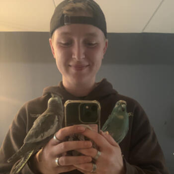 Babysitter in Sint Nicolaasga: Dani