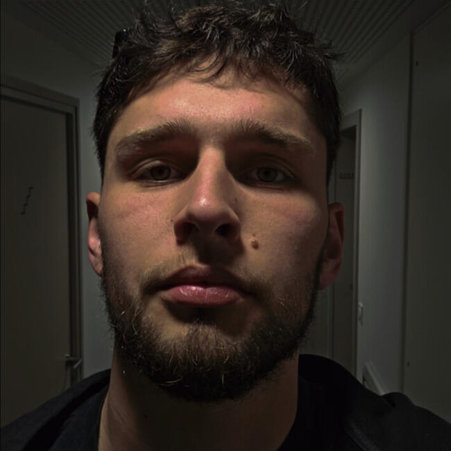 Job de garde d'enfants à Rennes: Aldric